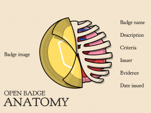 “Badge Anatomy” by Class Hack. Creative Commons license CC BY-SA